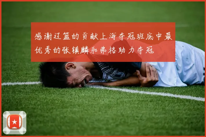 感谢辽篮的贡献上海夺冠班底中最优秀的张镇麟和弗格助力夺冠